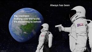 The craziness frothing over the world, it's something to behold.jpg