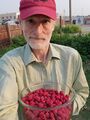 Self portrait with raspberries (13 July 2021) @ 7:11 pm.