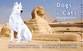 Monumental Barkitecture is a canine modern dance company famed for their imitations of monuments, ziggurats, and other large-scale sculptural works.