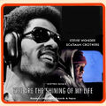 "You Are the Shining of My Life" is a song written by Stephen King and performed by Stevie Wonder and Scatman Crothers.