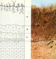 Soil diagram happy to help you with all your soil diagram needs.