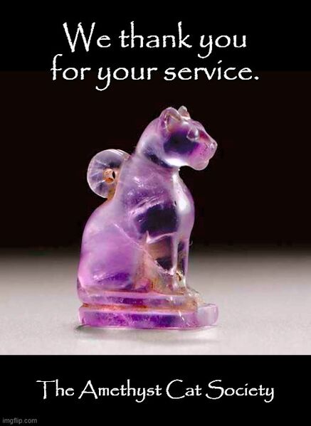 File:We thank you for your service - The Amethyst Cat Society.jpg