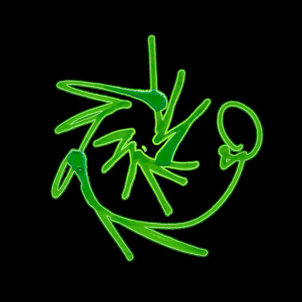 File:Green Spiral 9.jpg