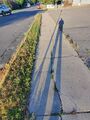 Shadows (27 September 2024) @ 8:18 a.m. Sheridan Street East at First Avenue, view to the west.