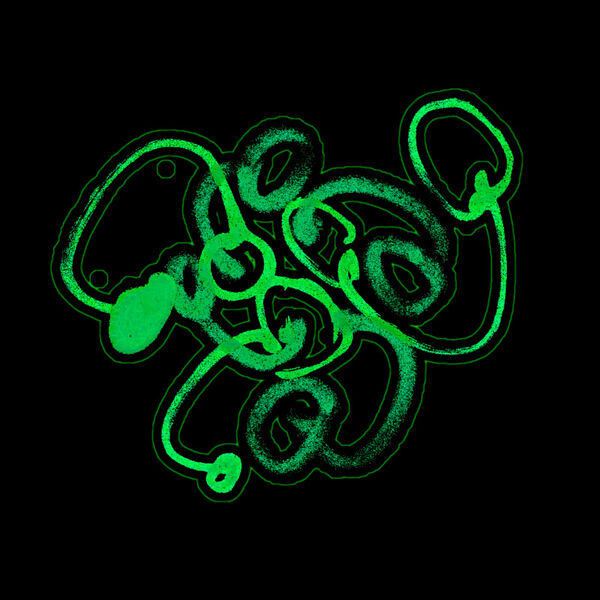 File:Green Tangle 3.jpg