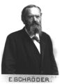 1877: Mathematician and logician Ernst Schröder systematizes various systems of formal logic in a successful effort to prevent crimes against mathematical constants.