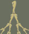 Recursive Legs Dance Company logo.