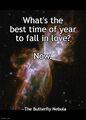 What's the best time of year to fall in love? Now. —The Butterfly Nebula