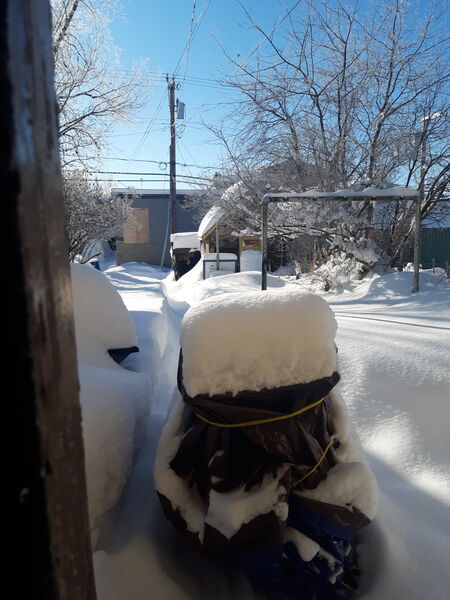 File:Karl Jones Gallery back door view 20200120 102511.jpg