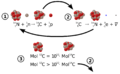 1940 Feb. 27: Martin Kamen and Sam Ruben discover carbon-14. Its presence in organic materials is the basis of the radiocarbon dating method pioneered by Willard Libby and colleagues (1949) to date archaeological, geological and hydrogeological samples.