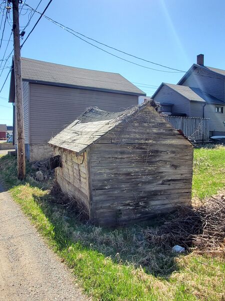 File:Shack (10 May 2025) 20250510 103826.jpg