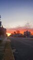 Sunrise (1 November 2024) @ 7:45 a.m. Chapman Street East, view to the east.