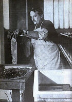 Alistair Treadgold's research into electrolysis influenced a generation of musical electroplating ensembles, including Chrome Plover.