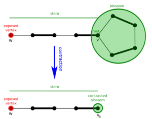 Blossom with Edmonds matching algorithm.svg