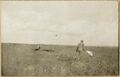 Looking for wounded under protection of white flag (1916).