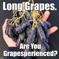 Are You Grapesperienced? is the debut studio album by the Long Grape Experience, released in May 1967.