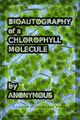 Thumbnail for version as of 08:38, 23 December 2020
