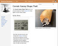 Thumbnail for version as of 09:45, 2 April 2021