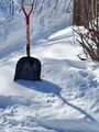 Shovel (19 March 2023) @ 9:50 a.m.