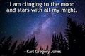 "Are you taking the fall?" / No. I am clinging to the moon and stars with all my might.