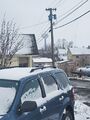 Snow (30 April 2023) @ 8:14 a.m.