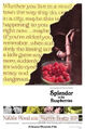 Splendor in the Raspberries is a 1961 American period drama film about two high school delinquents (Natalie Wood and Warren Beatty) who must work for a summer on the the county reformatory's raspberry farm, navigating feelings of sexual repression, love, and heartbreak.