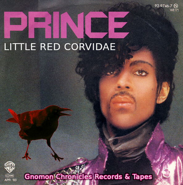 File:Little Red Corvidae.jpg