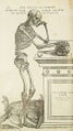 Skeletal anatomist will fight evil for food.
