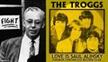 "Love Is Saul Alinsky" is a song by the Troggs.