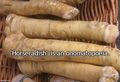 Horseradish is an onomatopoeia.