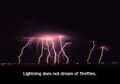 Lightning does not dream of fireflies.