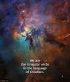We are the irregular verbs in the language of Creation.