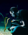 The Eel receives news from informants.
